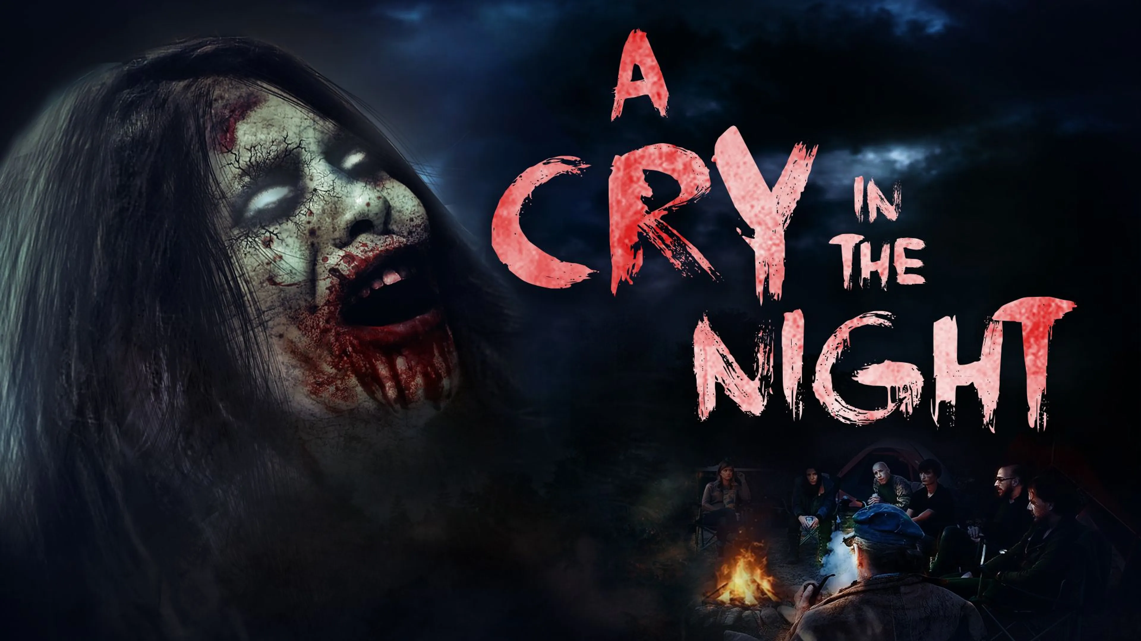A Cry in the Night poster